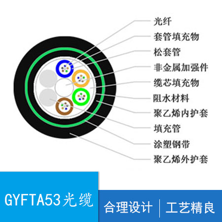 GYFTA53,¹,ģ